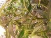 20130131_213136.jpg