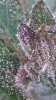 _2012-10-25_08-17-28_264.jpg
