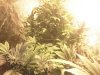 update 016.jpg