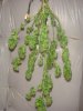 DSC00128.jpg