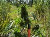 100_1145.jpg