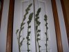 100_1140.jpg
