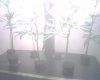 IMG00152.jpg