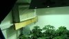 canopy3withAC.jpg