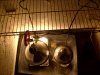 S7300310.JPG