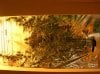 DSCN0981.jpg