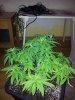 20130131_221019.jpg