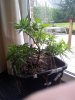 20130201_143134.jpg