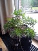 20130201_143223.jpg