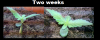 3.png 3.png
