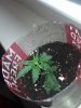 2013-02-02_14-44-42_138.jpg