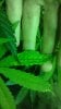 IMAG0561.jpg