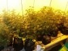20130131_110227.jpg 20130131_110227.jpg
