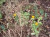 DSC00509.jpg