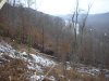 P1010036.jpg