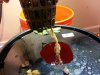 20130203_182819.jpg