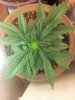 2013-02-04_10-01-46_173.jpg