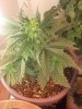 2013-02-04_10-01-36_870.jpg