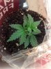 2013-02-04_10-00-34_778.jpg