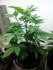 20130204_135559.jpg