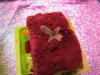 IMG_0387.jpg