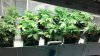 2013-02-05_09-24-07_422.jpg 2013-02-05_09-24-07_422.jpg