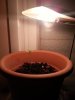 20130205_184824.jpg