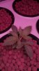 2013-02-05_17-54-41_284.jpg