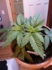 2013-02-06 11.38.26.jpg