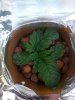 IMG_20130206_194241.jpg