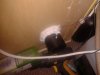 2013-02-07 08.35.07.jpg