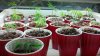 2013-02-06_18-16-36_87.jpg
