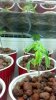 2013-02-06_18-16-54_543.jpg