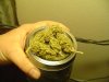 DSC00606.jpg