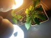20130121_174532.jpg