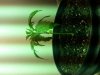 20130124_180758.jpg
