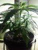 20130207_180319.jpg