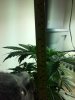 20130207_180510.jpg