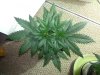 20130207_180647.jpg
