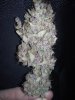 20130207_225541.jpg