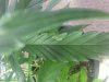20130209_120134.jpg