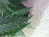 20130209_120251.jpg