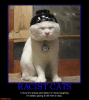 racist_cat.png