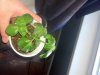 2013-02-10_12-58-14_921.jpg