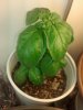 2013-02-04_10-00-04_102.jpg