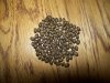 seeds.jpg
