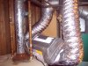 grow01_12weeks-09-26_4085.upload.jpg