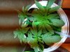 20130213_183250.jpg