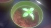 2012-12-31_12-17-29_215.jpg