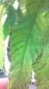 2013-02-14_18-17-24_316.jpg